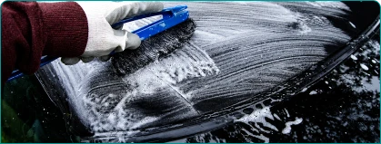 Car Roof Cleaning